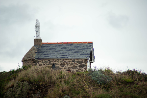 _DSC3237.jpg--1